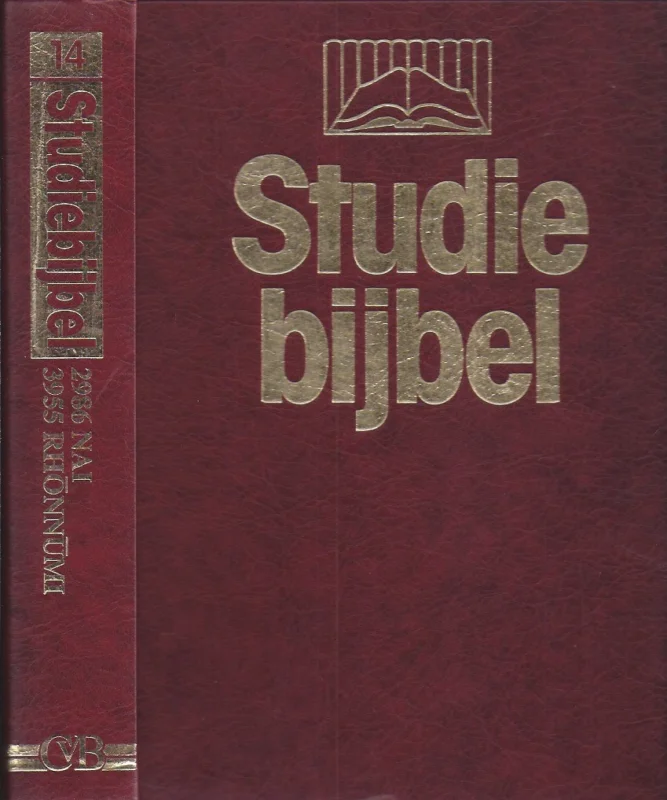 Gereduceerde Prijs Studiebijbel 14 : Woordstudies en concordantie : 2986 nai – 3955 rhōnnūmi – In de Ruimte