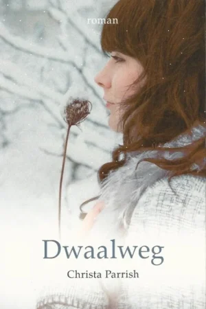 Actieprijs Dwaalweg : roman – Christa Parrish