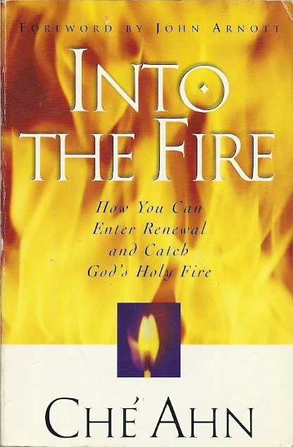 Into The Fire – Che Ahn Hoge Kwaliteit
