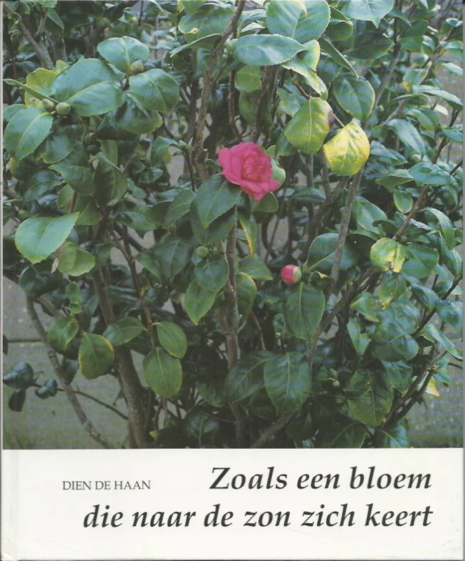 Bestseller Zoals een bloem die naar de zon zich keert – Dien de Haan