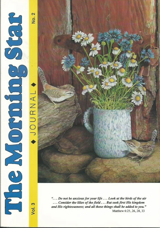 The Morning Star Journal : Volume 3 : No. 2 Direct Verzonden