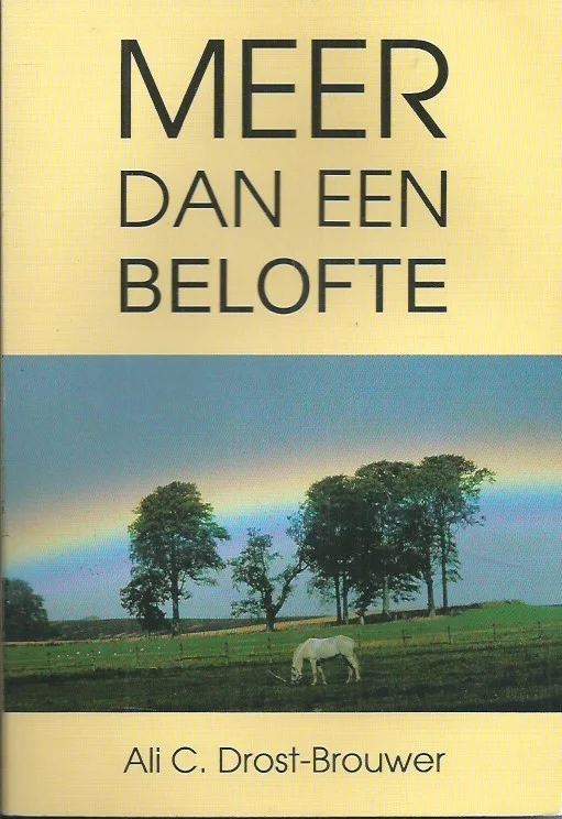 Gratis Retour Meer dan een belofte – Ali C. Drost-Brouwer (2e druk, z.g.a.n.)