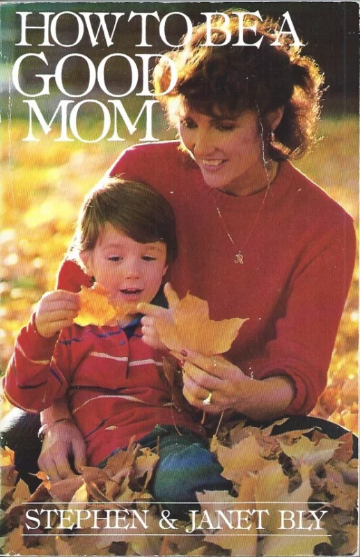 How to Be a Good Mom – Stephen & Janet Bly Beperkte Voorraad