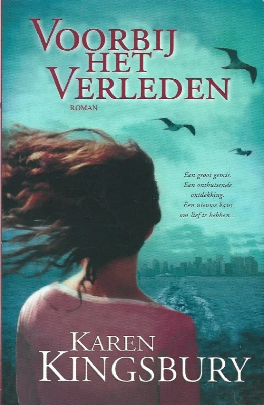 Nieuw Voorbij het verleden : roman – Karen Kingsbury