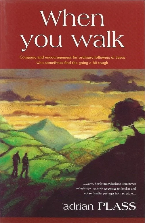 Premium When You Walk : Company and Encouragement for Ordinary Followers of Jesus Who Sometimes Find the Going a Bit Tough – Adrian Plass