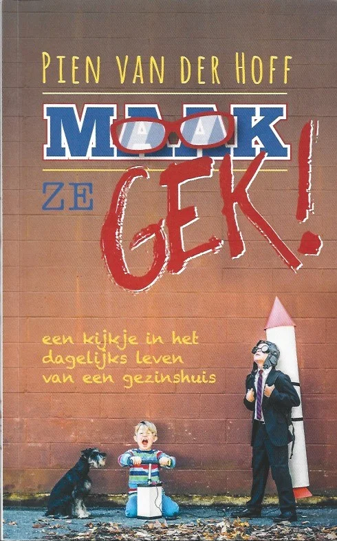 Maak ze gek! : een kijkje in het dagelijks leven van een gezinshuis – Pien van der Hoff Rechtstreeks Van De Fabrikant