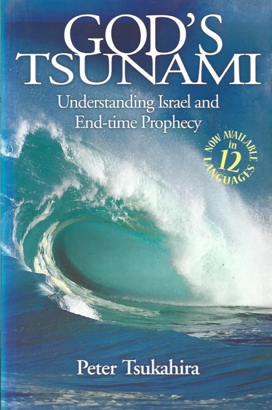 Lage Kosten God’s Tsunami : Understanding Israel and End-time Prophecy – Peter Tsukahiri (Revised edition 2009)