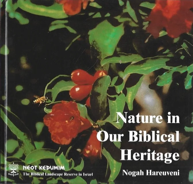Rechtstreeks Van De Fabrikant Nature in Our Biblical Heritage – Nogah Hareuveni (Third Edition)