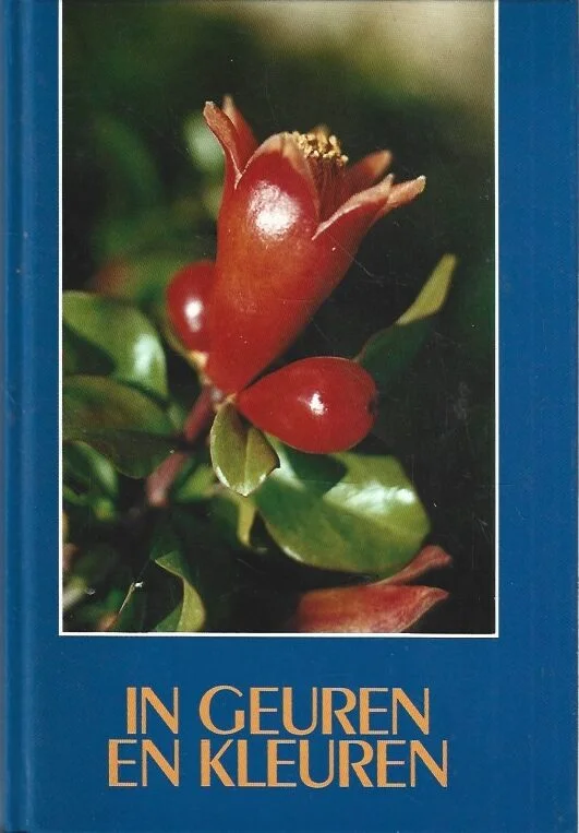 Flitsaanbieding In geuren en kleuren : beeld en symbool in de bijbel – A.G. Versteeg
