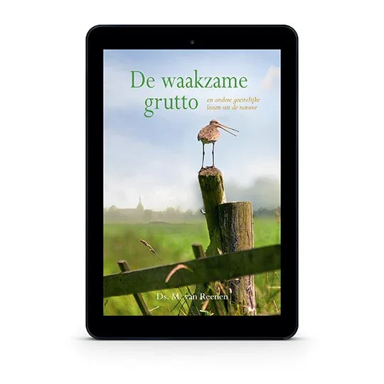 Meest Verkocht De waakzame grutto
