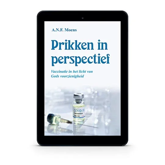 Koopje Prikken in perspectief