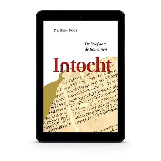 Weekendaanbieding Intocht