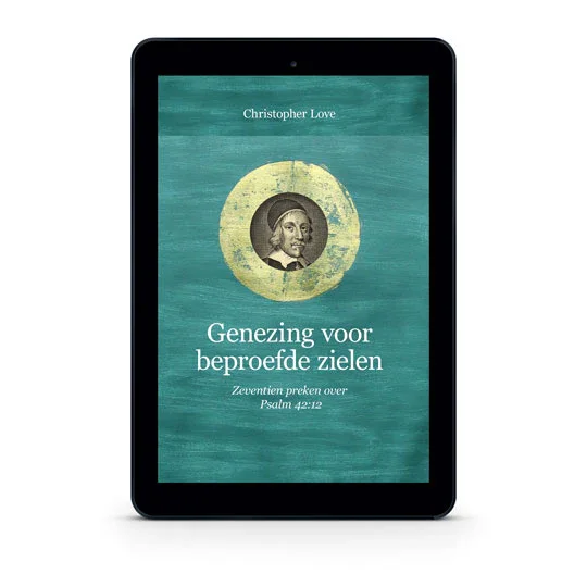 Meest Verkocht Genezing voor beproefde zielen