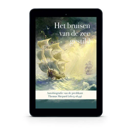 Beperkte Voorraad Het bruisen van de zee gestild