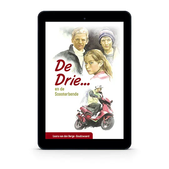 De Drie... en de scooterbende Flitsaanbieding