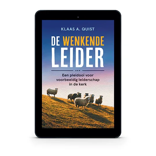 Betaalbaar De wenkende leider