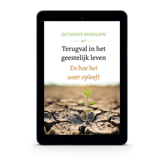 Terugval in het geestelijk leven Speciale Aanbieding