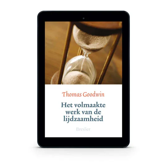 Snelle Levering Het volmaakte werk van de lijdzaamheid