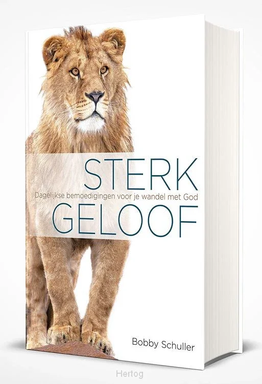 Populair Dagboek - Sterk in geloof- Bobby Schuller