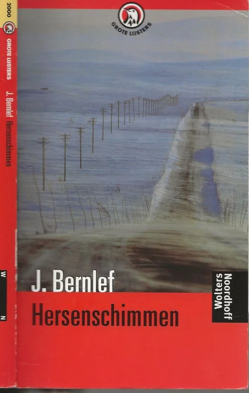 J. Bernlef Aan het eind is er alleen maar het witte nietsHersenschimmen Dagaanbieding