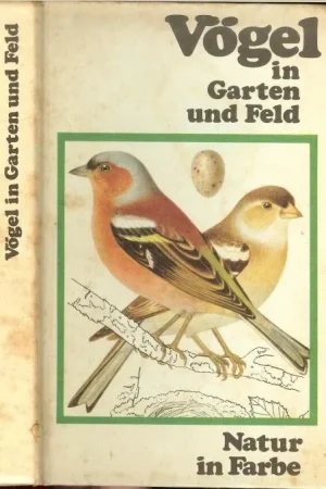 Aanbieding Vogel in garten und feld .. Natur in farbe Met prachtige kleuren foto’s