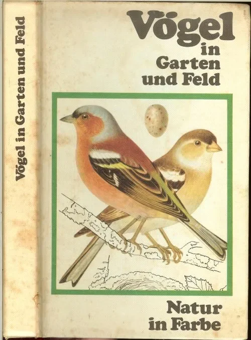 Aanbieding Vogel in garten und feld .. Natur in farbe Met prachtige kleuren foto’s