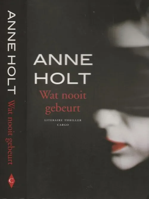 Must-Have Wat Nooit Gebeurt Holt, Anne . Vertaling Annemarie Smit