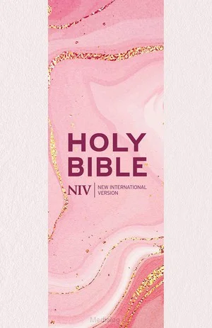 Niv Larger Print Bible Beperkt Aanbod