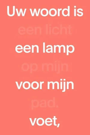 Veilige Betaling Paperback Editie