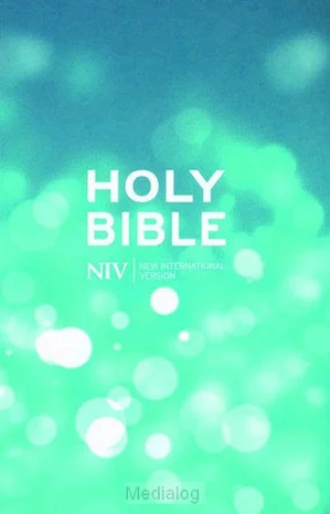 Meest Verkocht Niv - Popular Bible