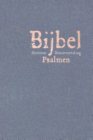 Speciale Aanbieding Schoolbijbel Hsv Psalmen 12x18cm