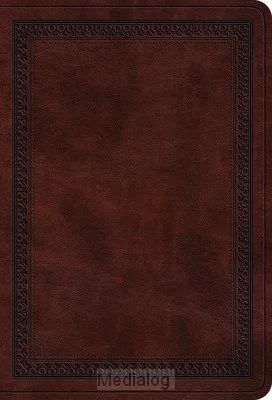 Esv - Large Print Compact Bible Koop Vandaag