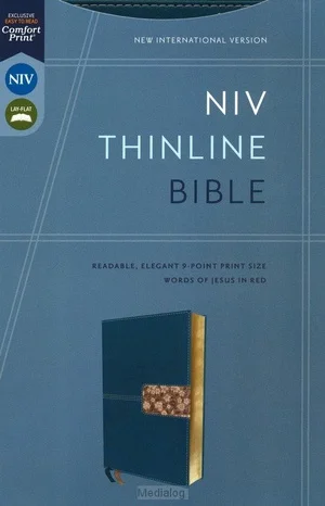 Rechtstreeks Van De Fabrikant Niv - Thinline Bible