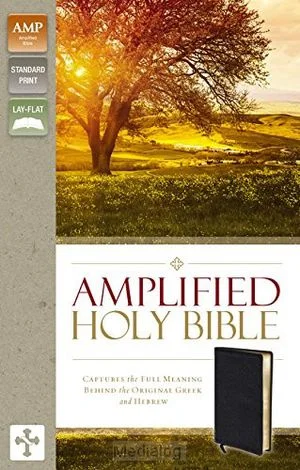Voordeelprijs Amplified Bible