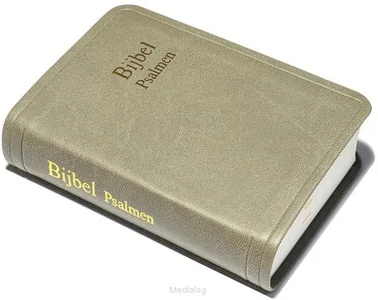 Aanbieding Zakbijbel D31rtp Taupe Kunstleer