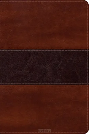 Rvr1960 - Biblia Del Pescador Letra Gra Voordeelprijs