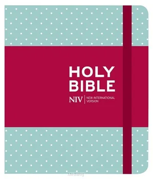 Veilige Betaling Niv - Journalling Bible