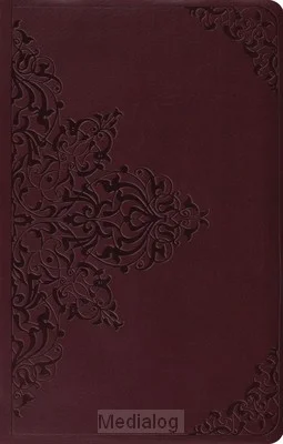 Shop Nu Esv - Value Thinline Bible