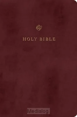 Nieuw Esv - Gift & Award Bible