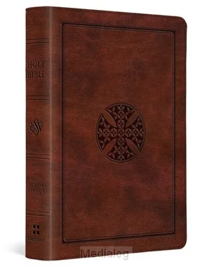 Alleen Vandaag Esv - Large Print Compact Bible -rl