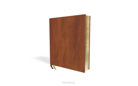 Amplified Xl Edition Bible Populair