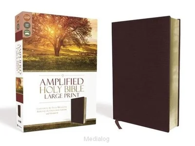 Amplified Bible Korting