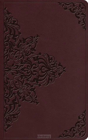 Shop Nu Esv - Value Thinline Bible