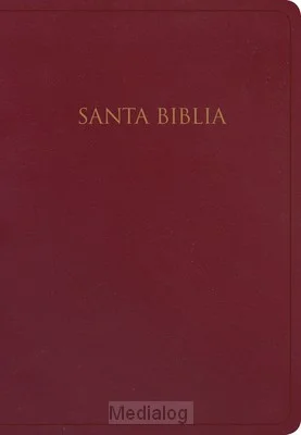Rvr1960 - Biblia Gift & Award Koop Online