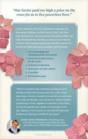 Actieprijs Nlt - Thrive Devotional Bible