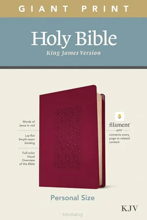 Fabrieksprijs Kjv - Giant Print Bible - Personal Ed.