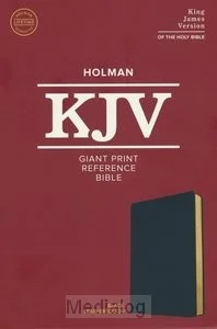 Kjv - Giant Print Reference Bible Rechtstreeks Van De Fabrikant