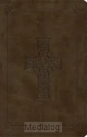 Dagaanbieding Esv - Lp Value Thinline Bible