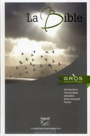 Superprijs Segond 21 - Large Print French Bible