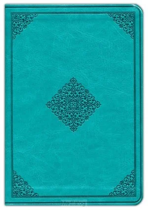 Gratis Retour Esv - Large Print Compact Bible